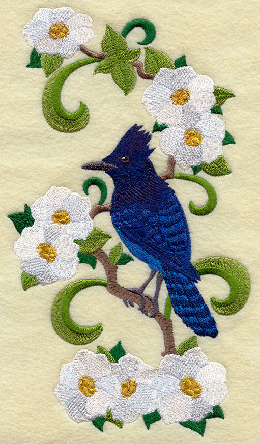 British Columbia Steller's Jay and Dogwood Medley