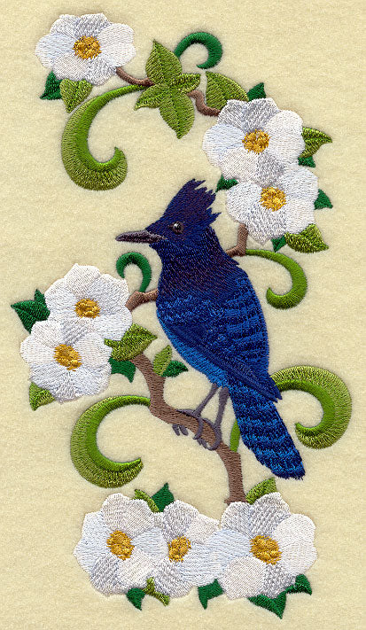 British Columbia Steller's Jay and Dogwood Medley