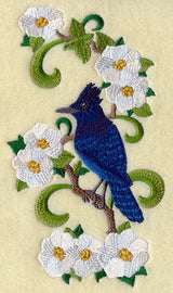 British Columbia Steller's Jay and Dogwood Medley