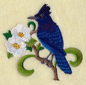 British Columbia Steller's Jay and Dogwood Medley
