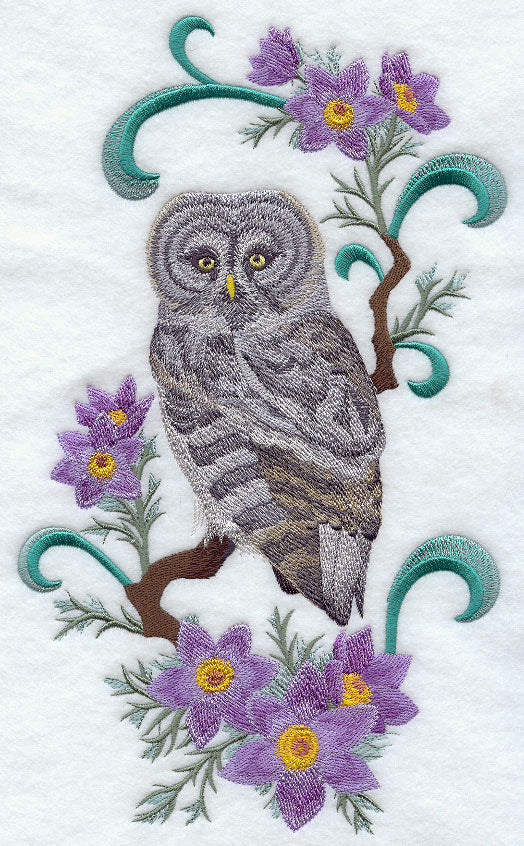 Manitoba Great Grey Owl and Prairie Crocus Medley
