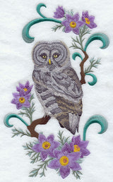 Manitoba Great Grey Owl and Prairie Crocus Medley