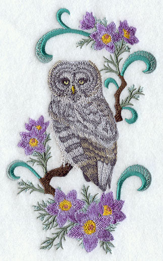 Manitoba Great Grey Owl and Prairie Crocus Medley