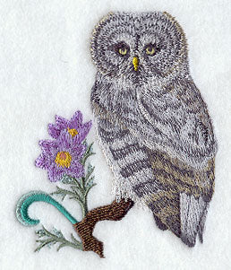 Manitoba Great Grey Owl and Prairie Crocus Medley