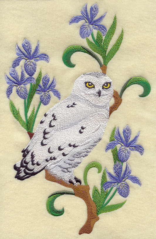 Quebec Snowy Owl and Blue Flag Iris Medley
