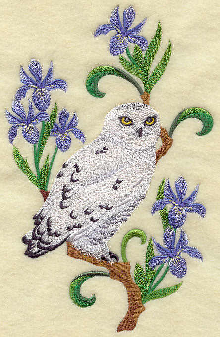 Quebec Snowy Owl and Blue Flag Iris Medley