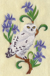 Quebec Snowy Owl and Blue Flag Iris Medley