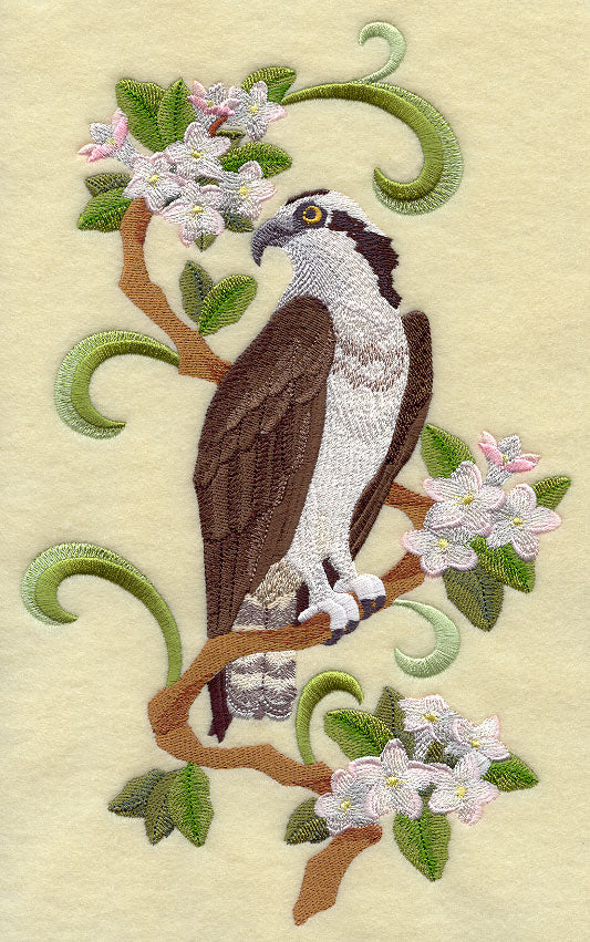 Nova Scotia Osprey and Mayflower Medley