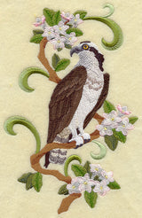 Nova Scotia Osprey and Mayflower Medley
