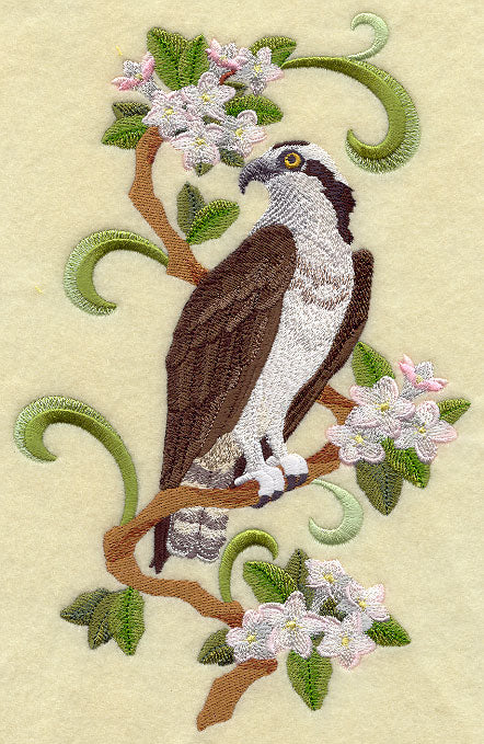 Nova Scotia Osprey and Mayflower Medley