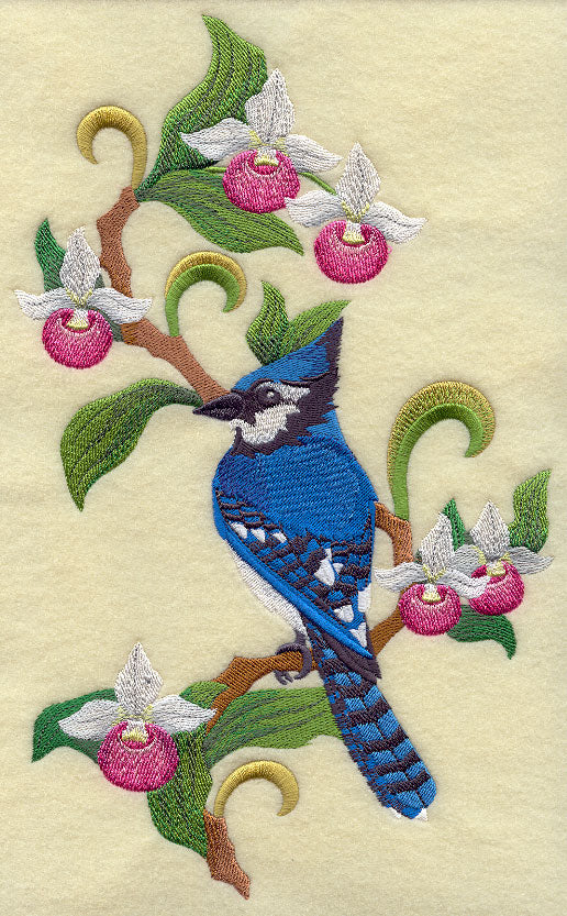 Prince Edward Island Blue Jay and Lady's Slipper Medley