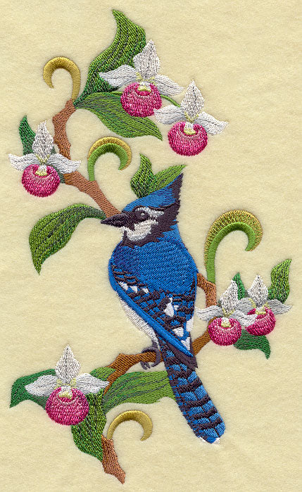 Prince Edward Island Blue Jay and Lady's Slipper Medley