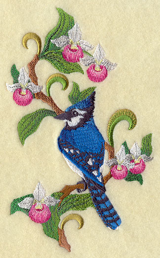 Prince Edward Island Blue Jay and Lady's Slipper Medley