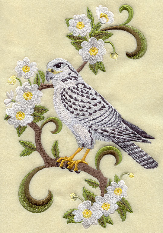 Northwest Territories Gyrfalcon and Mountain Avens Medley