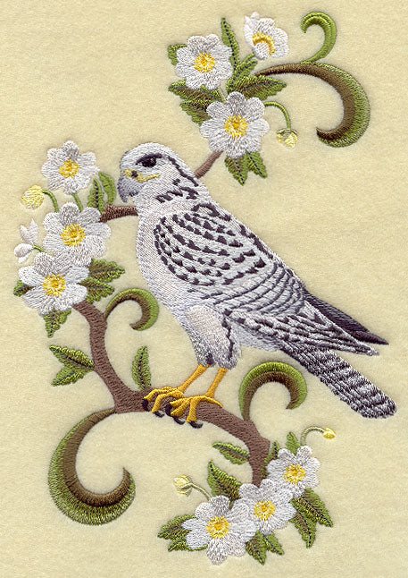 Northwest Territories Gyrfalcon and Mountain Avens Medley