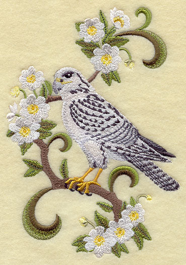 Northwest Territories Gyrfalcon and Mountain Avens Medley