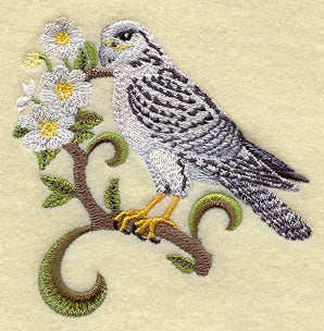 Northwest Territories Gyrfalcon and Mountain Avens Medley