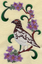 Nunavut Rock Ptarmigan and Purple Saxifrage Medley