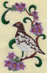 Nunavut Rock Ptarmigan and Purple Saxifrage Medley