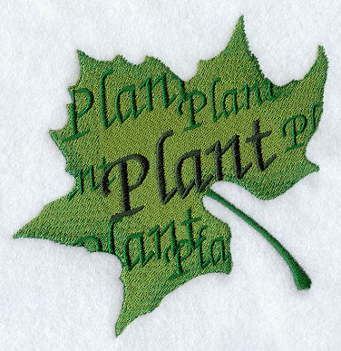 Plant Leaf