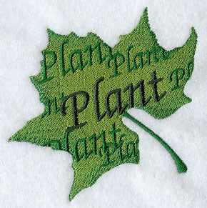 Plant Leaf