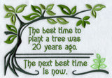 Best Time to Plant a Tree