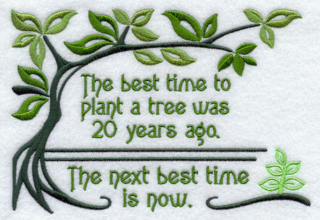 Best Time to Plant a Tree
