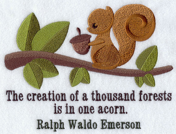 Creation of a Thousand Forests