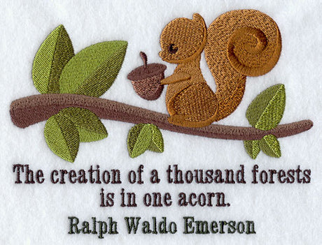 Creation of a Thousand Forests