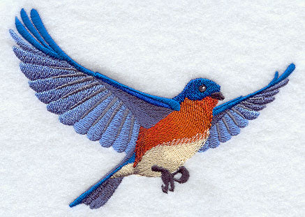 Flying Bluebird
