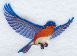 Flying Bluebird
