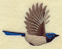 Flying Superb Fairywren