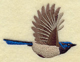 Flying Superb Fairywren