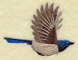 Flying Superb Fairywren