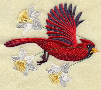 Flying Cardinal with Daffodils