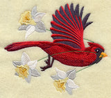 Flying Cardinal with Daffodils