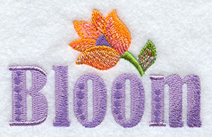 Spring into Color and Bloom