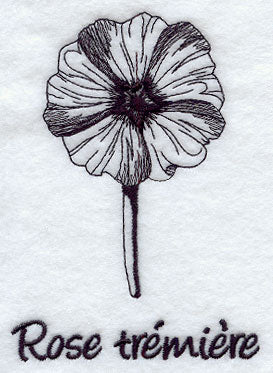 Hollyhock - Rose Tremiere