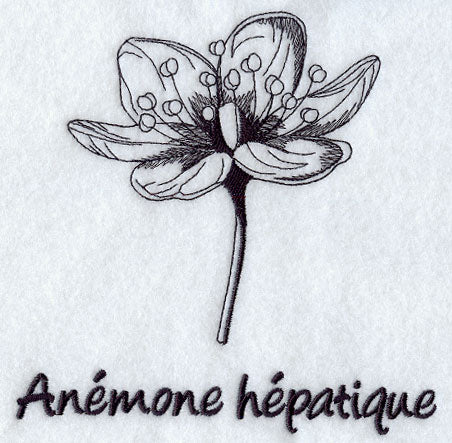 Hepatica - Anemone Hepatique