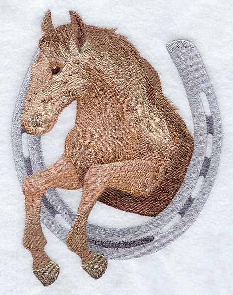 Horse & Horseshoe - Appaloosa