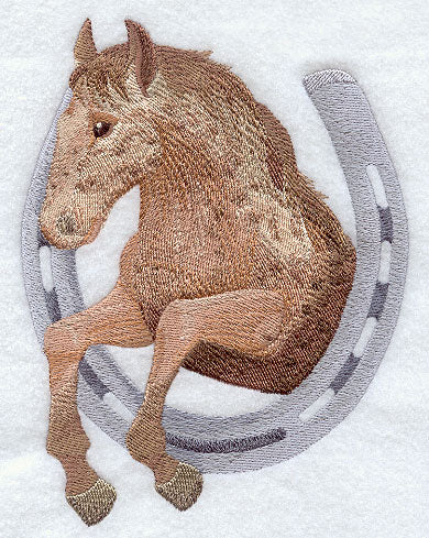 Horse & Horseshoe - Appaloosa