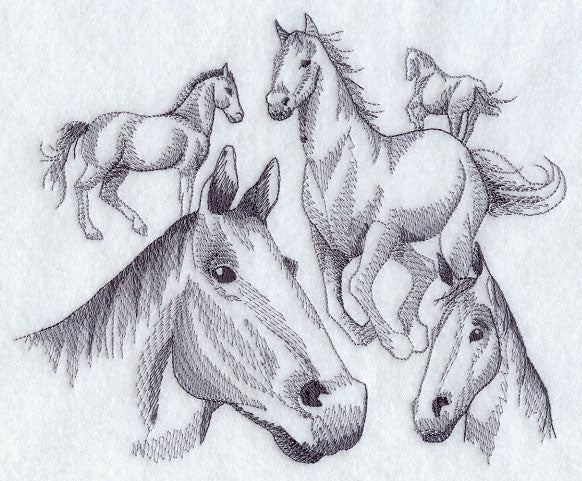 Herd of Horse Sketches