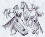 Herd of Horse Sketches