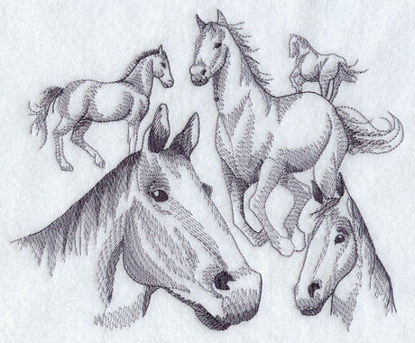 Herd of Horse Sketches