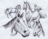 Herd of Horse Sketches