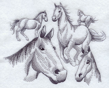Herd of Horse Sketches