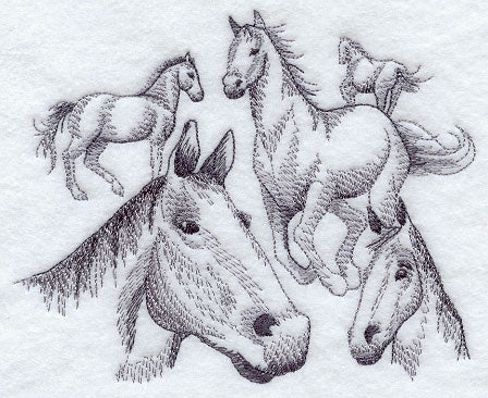 Herd of Horse Sketches