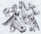 Herd of Horse Sketches