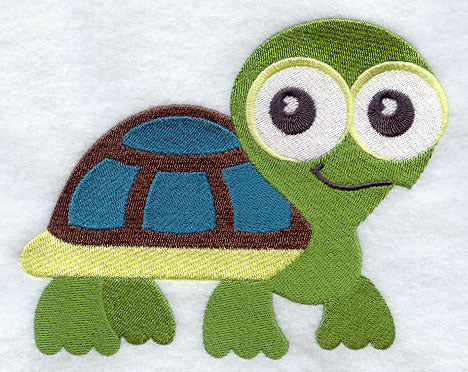 Wide-Eyed Baby Boy Turtle