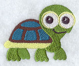 Wide-Eyed Baby Boy Turtle